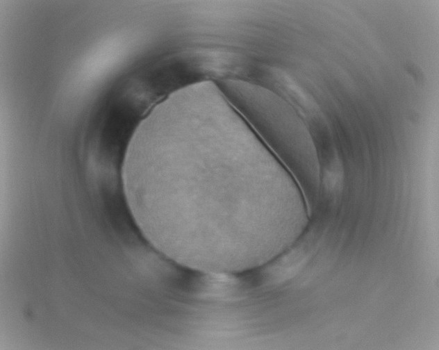 X0000115320429200911231354