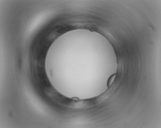 X0000115320430200911231354