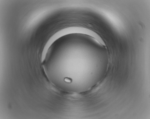 X0000115320431200911231354