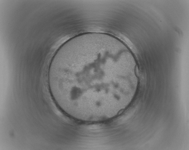 X0000115320433200911231354