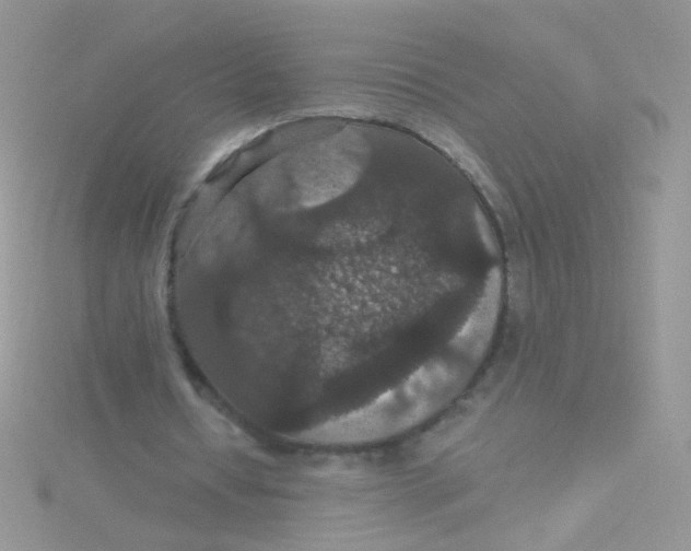 X0000115320434200911231354