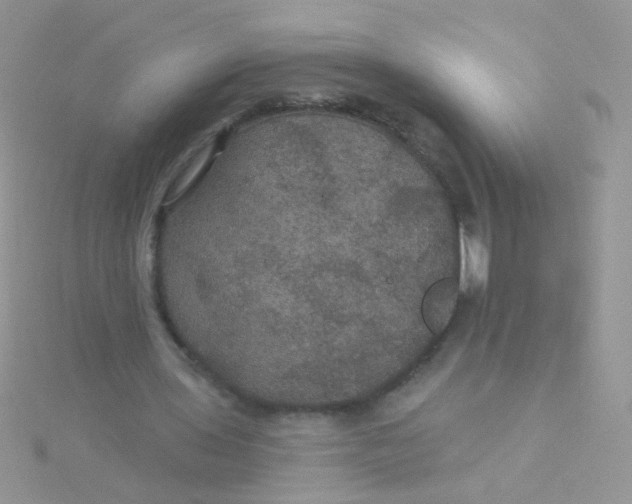 X0000115320435200911231354