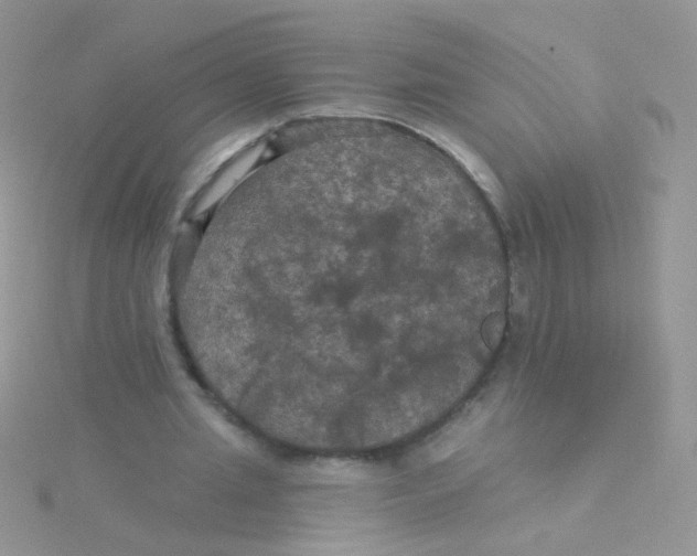 X0000115320437200911231354