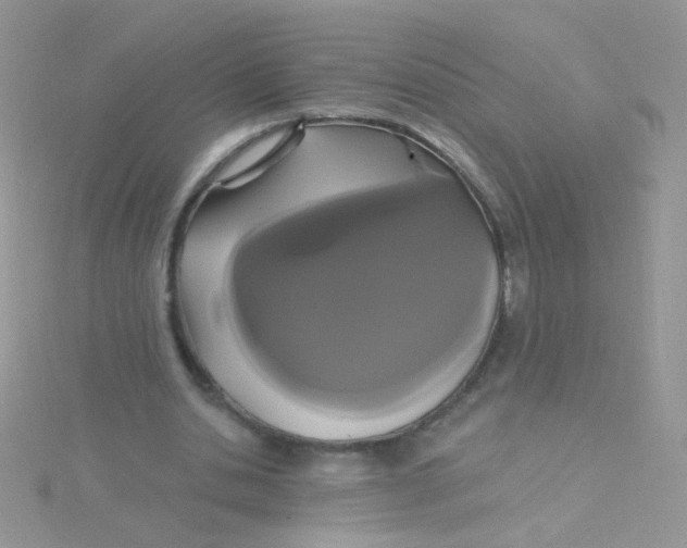 X0000115320438200911231354