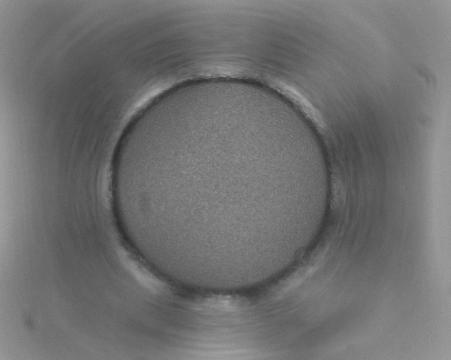 X0000115320439200911231354