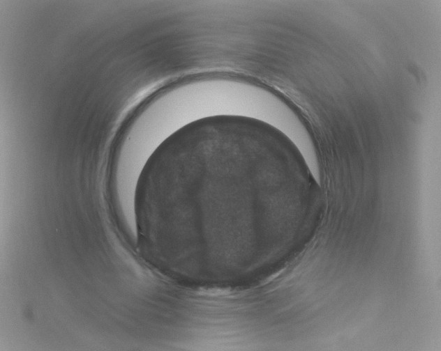 X0000115320440200911231354