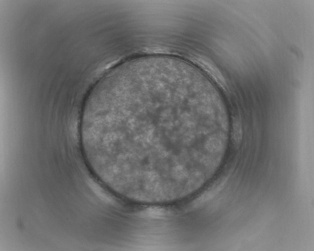 X0000115320441200911231354