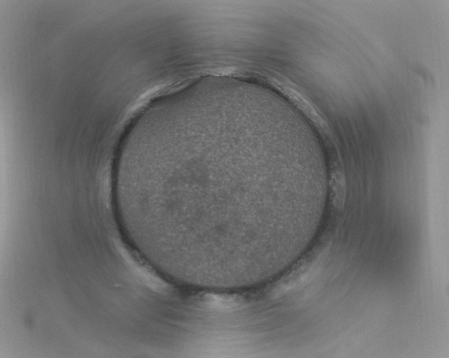 X0000115320442200911231354