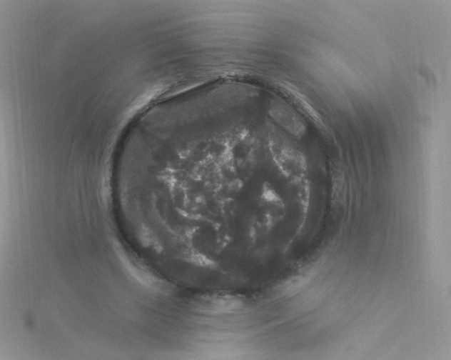 X0000115320443200911231354