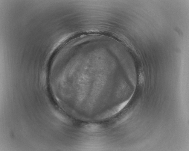 X0000115320444200911231354