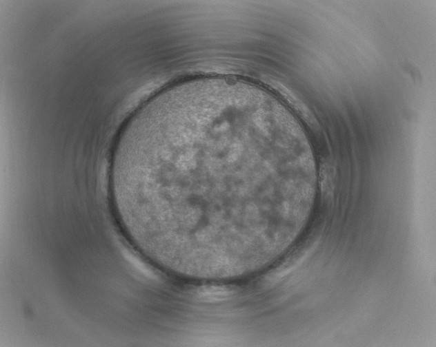 X0000115320445200911231354