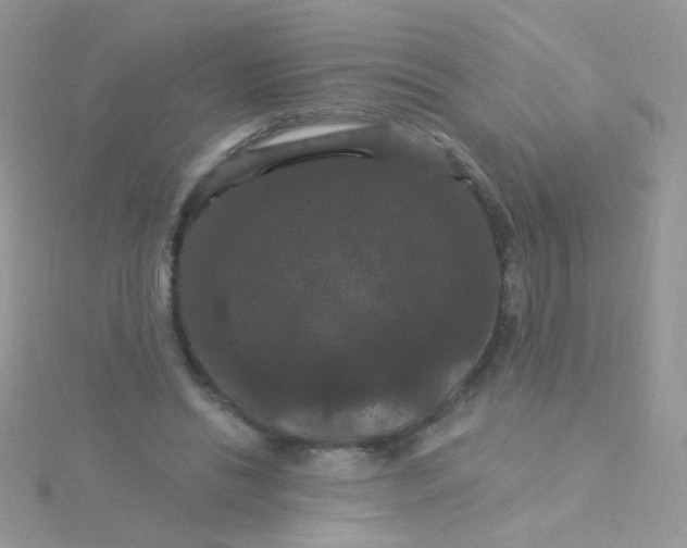 X0000115320446200911231354