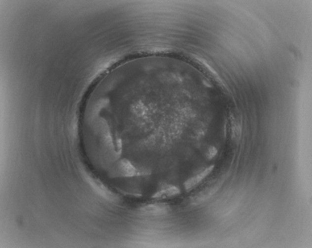 X0000115320447200911231354