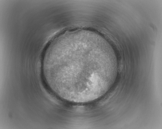 X0000115320448200911231354