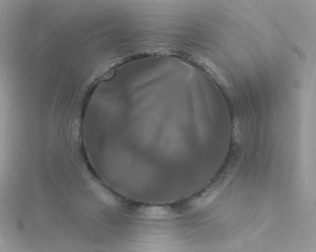 X0000115320449200911231354