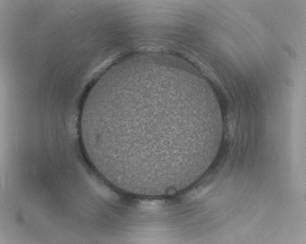 X0000115320450200911231354