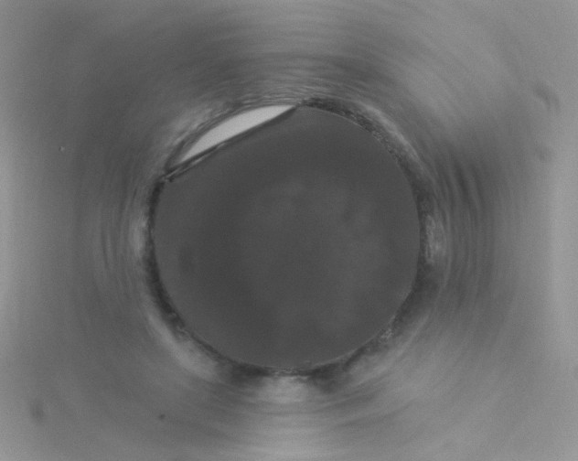 X0000115320451200911231354