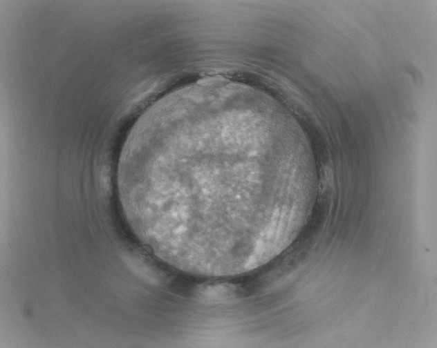 X0000115320452200911231354