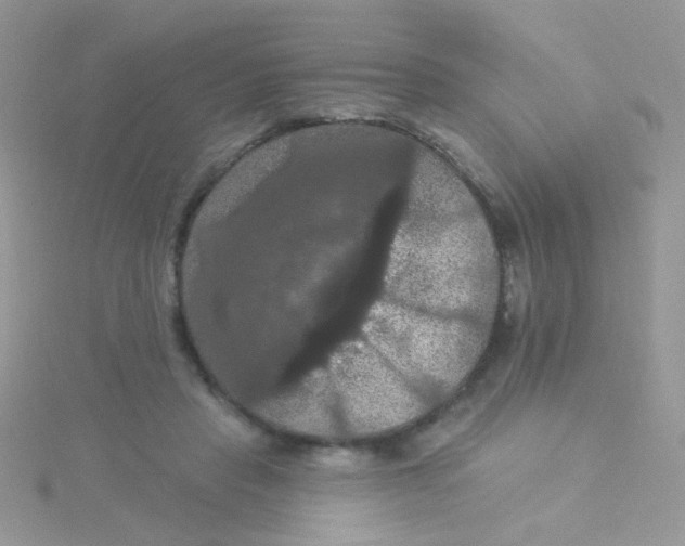 X0000115320453200911231354