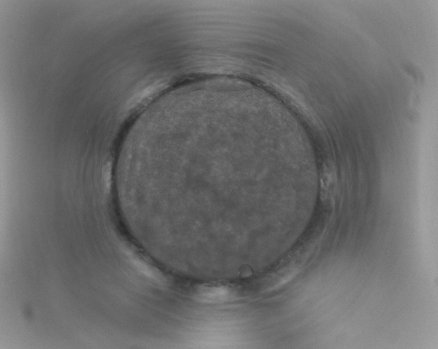 X0000115320454200911231354