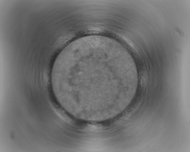 X0000115320455200911231354