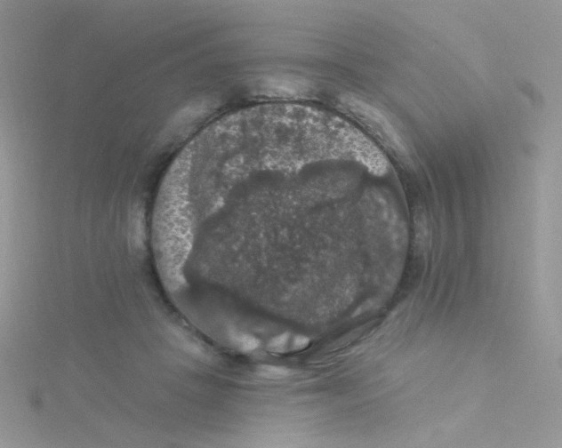 X0000115320457200911231354