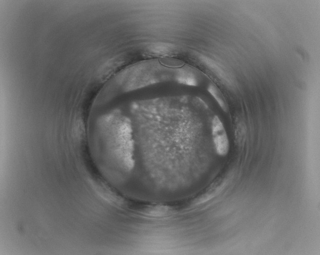 X0000115320459200911231354