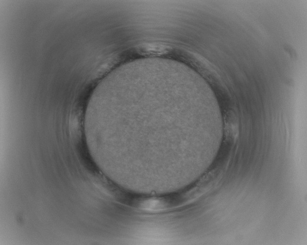 X0000115320460200911231354