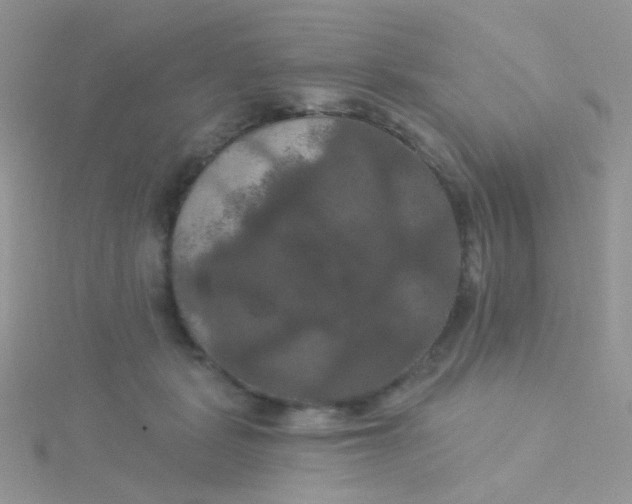 X0000115320461200911231354