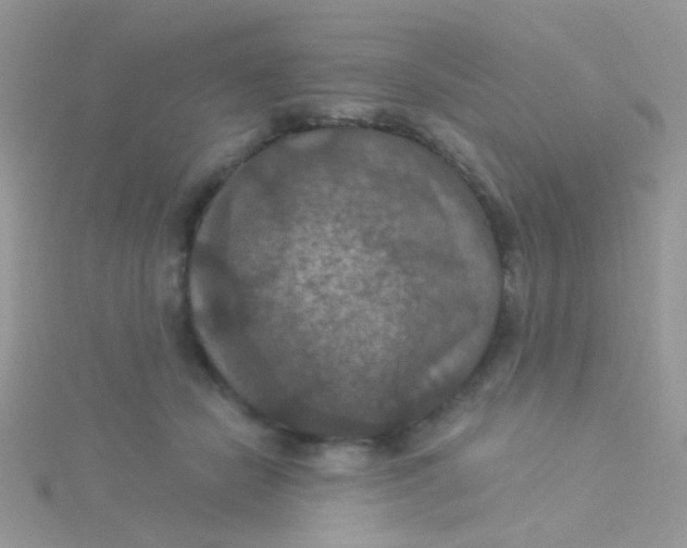 X0000115320462200911231354