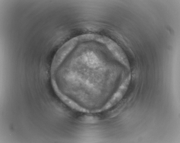 X0000115320464200911231354