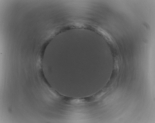 X0000115320465200911231354