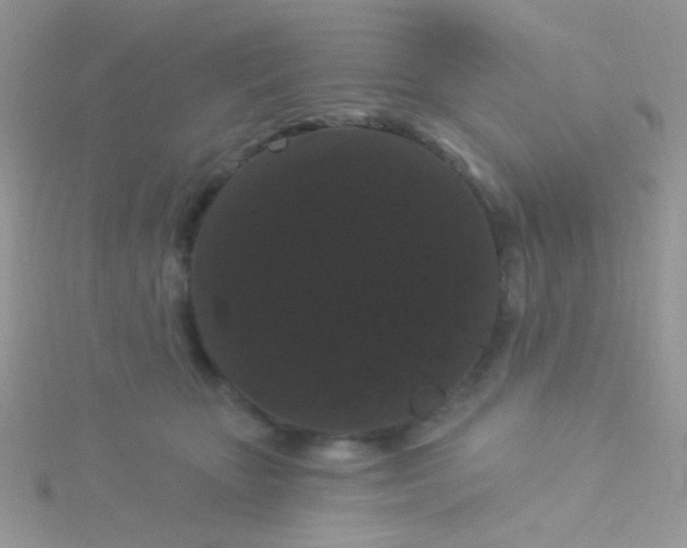 X0000115320467200911231354