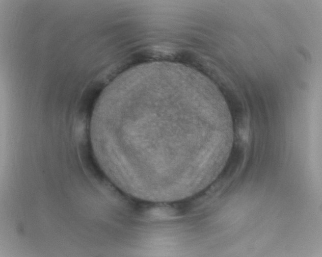 X0000115320468200911231354