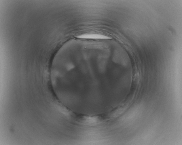 X0000115320469200911231354