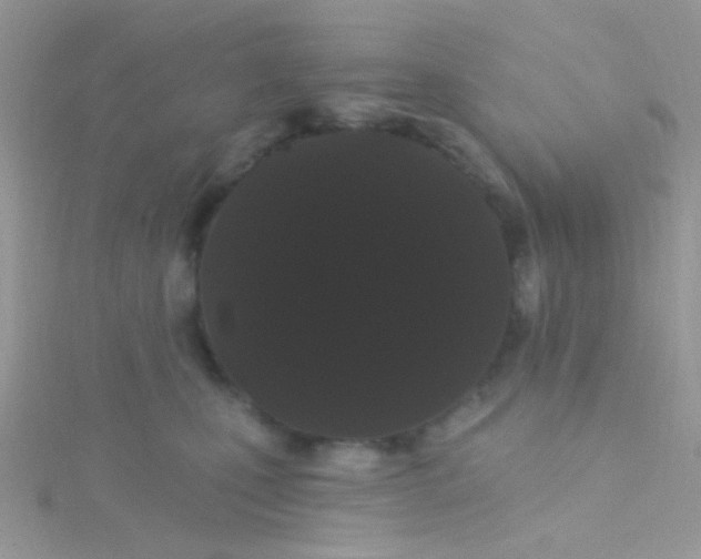 X0000115320471200911231354