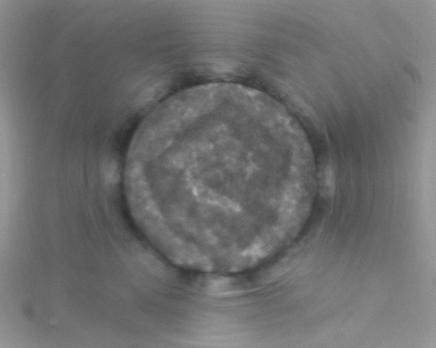 X0000115320472200911231354