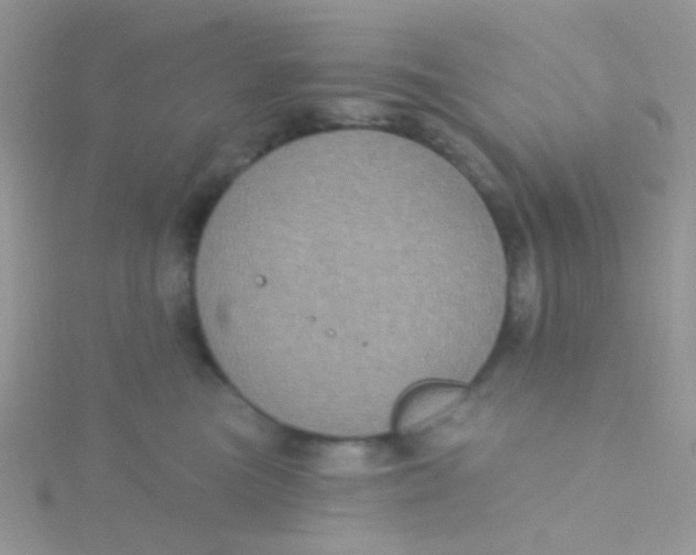 X0000115320473200911231354