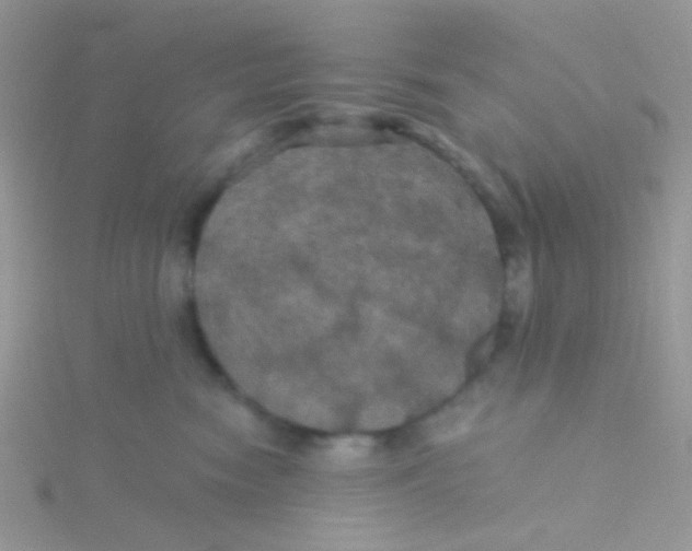 X0000115320474200911231354