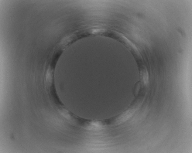 X0000115320475200911231354