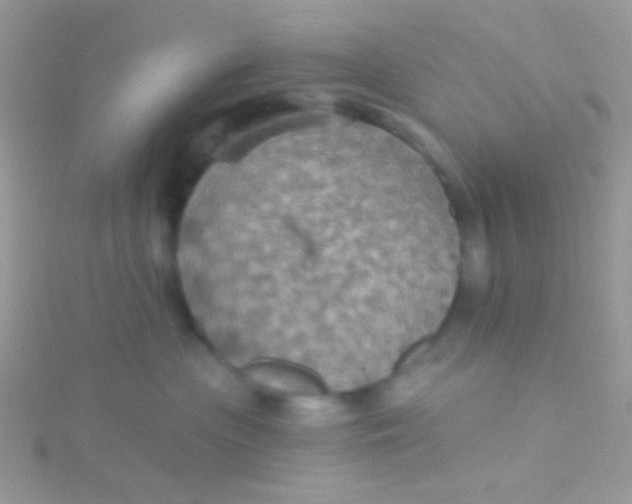 X0000115320477200911231354