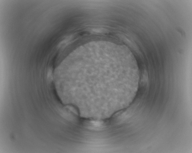 X0000115320478200911231354