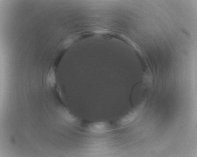 X0000115320479200911231354