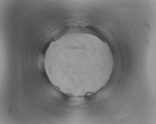 X0000115320480200911231354