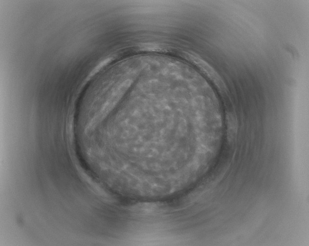 X0000115320482200911231354