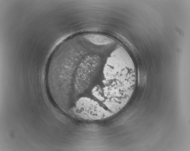 X0000115320483200911231354