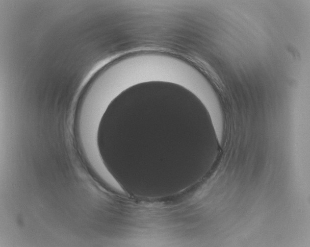 X0000115320484200911231354