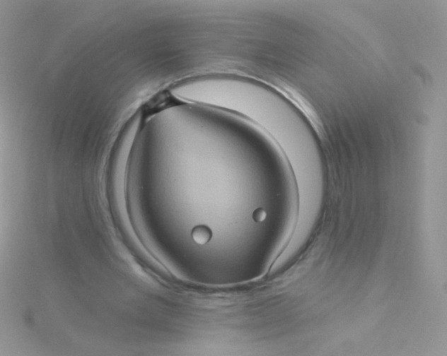 X0000115320485200911231354