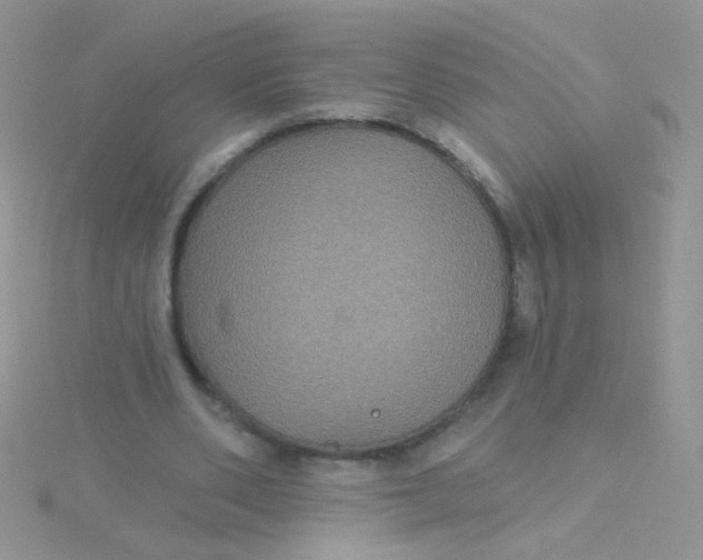 X0000115320486200911231354