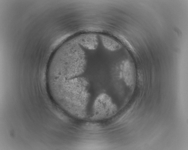 X0000115320487200911231354